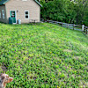 Heifer Pasture Feed Shed