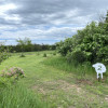 Site 2 - Red Cedar Plains