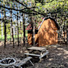 Cheerful cabin with free parking