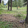 East Meadow Camp