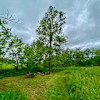 Streamside Tenting