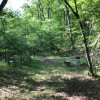 Site 1, Little Brushy Creek