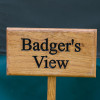 Badgers View