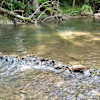 River's Edge RV Site