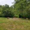 Site 7 - Finley Camp