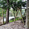 Royal Springs Retreat