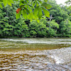 Riverfront Hideaway Campsite