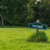 Thyme - Ensuite Grass Pitch