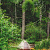 Forest Camping (RV)