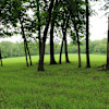 Goat Glamour Camping Tent Sites