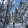 Hemlock Hill