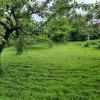 Southfarling Orchard & Berry Patch