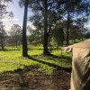 Wolumla Bush Camp