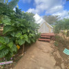 XLarge 'Big Island' Yurt
