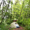 Forager Hill Campsite