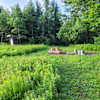Meadow's Edge Campsite
