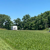 Woods, Fields and Farms