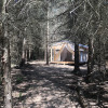 Spruce Sanctuary