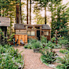 A TINY Peace of Paradise 