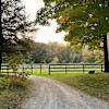 ⛺Forest or Meadow-Quaint Horse farm