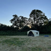 Pygmy Owl Cabin Tent