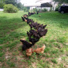 Redneck Culture+Southern Small Farm