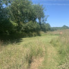 Goldfinch - Meadow Rise