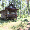 Understory Cabin w/ Wood Stove