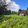 North Forest Farm