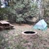 Deep Woods Camping on 40+ Acres