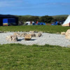 Camping pitch, tent & campervan