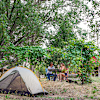 Jackass Hostel Campsites