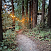 Fern Ridge Flats - Private Camping