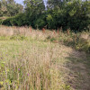 Meadow pitch 6
