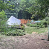 Bell tent in the redwoods 