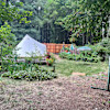 Bell tent in the redwoods 