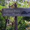 Turtle Hill Gardens