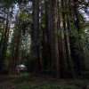 Redwood Shire Yurt