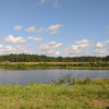 Orange Grove w/ Fishing Pond
