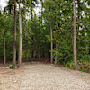 North Shuswap Launch Pad