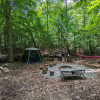 Phantom Forest Retreat: Waterthrush
