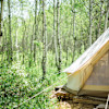 Group Site