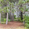 Site 1 - Peaceful Pines