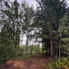 Site 4 - Peaceful Pines