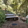 Camp under redwood trees with creek