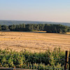 Peace Rolling Hills RV Site