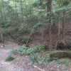 Site 1 - Spring Creek Valley