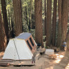 SkyWanda Sanctuary in the redwoods!