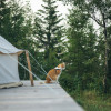 Rockies Glamping - the Brisco tent