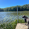 Fish Lake Getaway